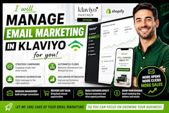 manage  email marketing in klaviyo for you