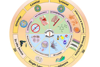 scientific illustrations, infographics and animations