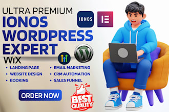 build ionos wordpress website, redesign ionos website, woocommerce and elementor