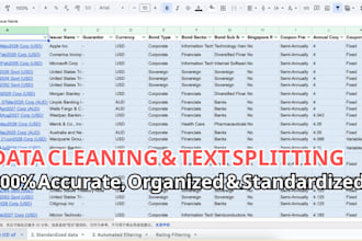 do data entry data formatting data cleaning data processing