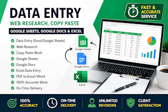 accurate data entrycopy pasteqexcel work