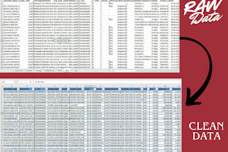clean, format, and organize the excel spreadsheet