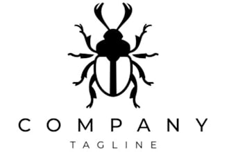 create a modern feminine line art logo
