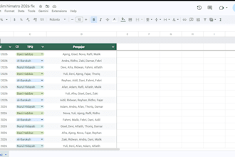 help with organizing and managing data