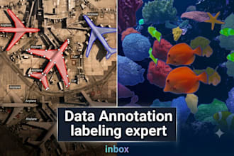do data annotation, image, video, map and label data polygon and object tracking