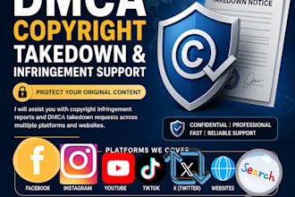 provide professional dmca copyright takedown and infringement support