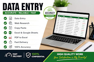 professional data entry and excel tasks