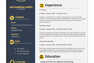 design a premium quality professional CV