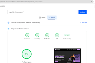 optimize the website speed