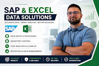 provide sap and excel data entry services sap inventory corrections