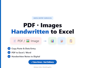 do data entry from PDF, images, handwritten notes to excel or word