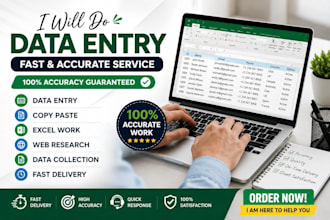 do accurate data entry, copy paste,excel data entry and web research