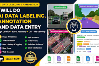 do ai data labeling, annotation and data entry