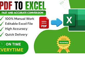 do PDF to excel conversion and data entry