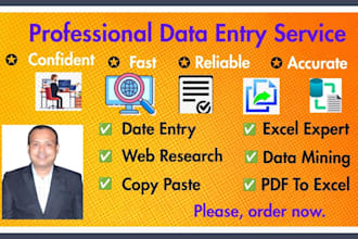 virtual assistant to web, excel and data entry