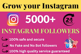 provide 5000 real targeted USA instagram followers