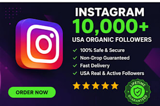 provide 10,000 real targeted USA instagram followers