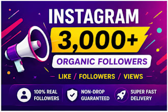 provide 3000 real targeted USA instagram followers