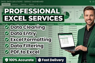 create professional microsoft excel dashboards and reports