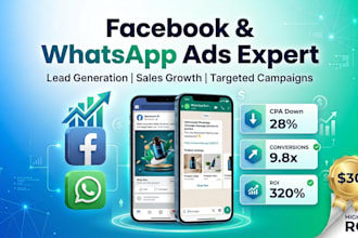 set up and manage facebook ads and whatsapp marketing and tiktok campaigns