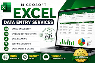 do microsoft excel data entry, spreadsheet formatting, cleaning and typing