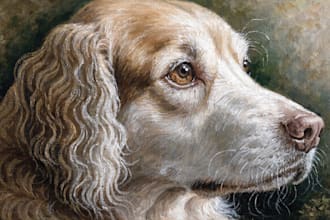 paint stunning pet portrait