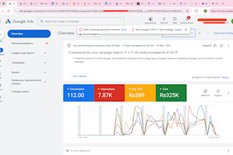 setup and manage your google ads campaign with conversion