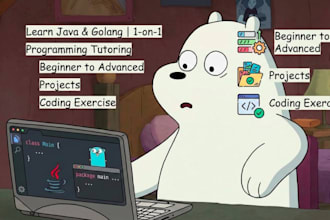 teach java and golang programming from basics to advanced