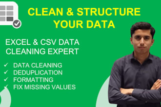 clean and structure your excel and CSV data for accurate business use