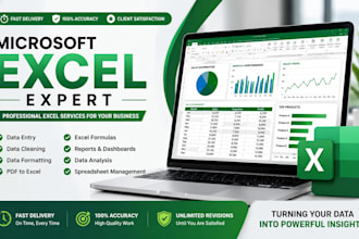 do microsoft excel data entry data cleaning and formatting