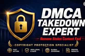 send dmca takedown notice to remove your stolen content