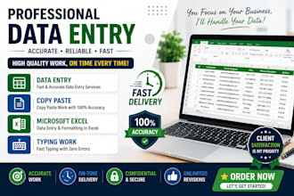 do excel data entry and data formatting
