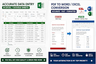 do accurate data entry, excel data entry, PDF to word