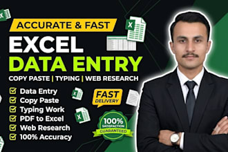 do accurate data entry and excel sheet work