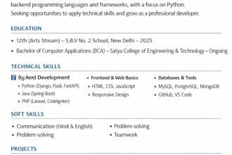 design professional resume and modern cv maker service
