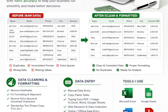 data entry cleaning formating