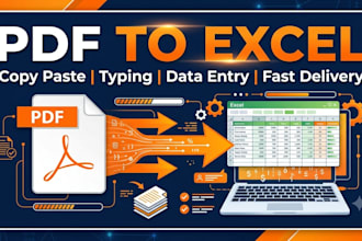 do data entry, data cleaning, excel data merge and split
