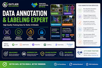 provide accurate ai data annotation and labelling services