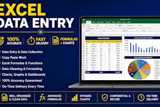 fast PDF to excel data entry with 100 accuracy