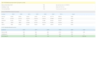 build a professional dcf and 3 statement financial model