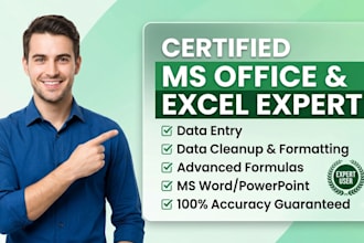 expert virtual assistant, data entry and excel data cleanup