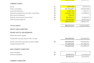 prepare professional financial statements, cash flow