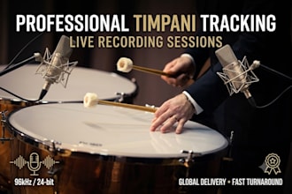 be your live session percussionist recording drum kit vibraphone timpani