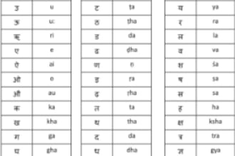teach professional spoken hindi and spoken tamil online