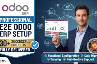 provide a professional end to end odoo erp setup for your business