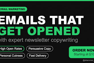 write email newsletters that get opened and drive sales