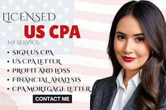 do accounting and finance  profit or loss  income verification and CPA accounts