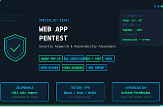 do web application penetration testing and security audit