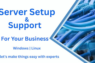 provide server setup and support for your business