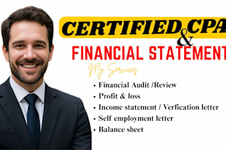 prepare financial statement, profit and loss and financial audit and review